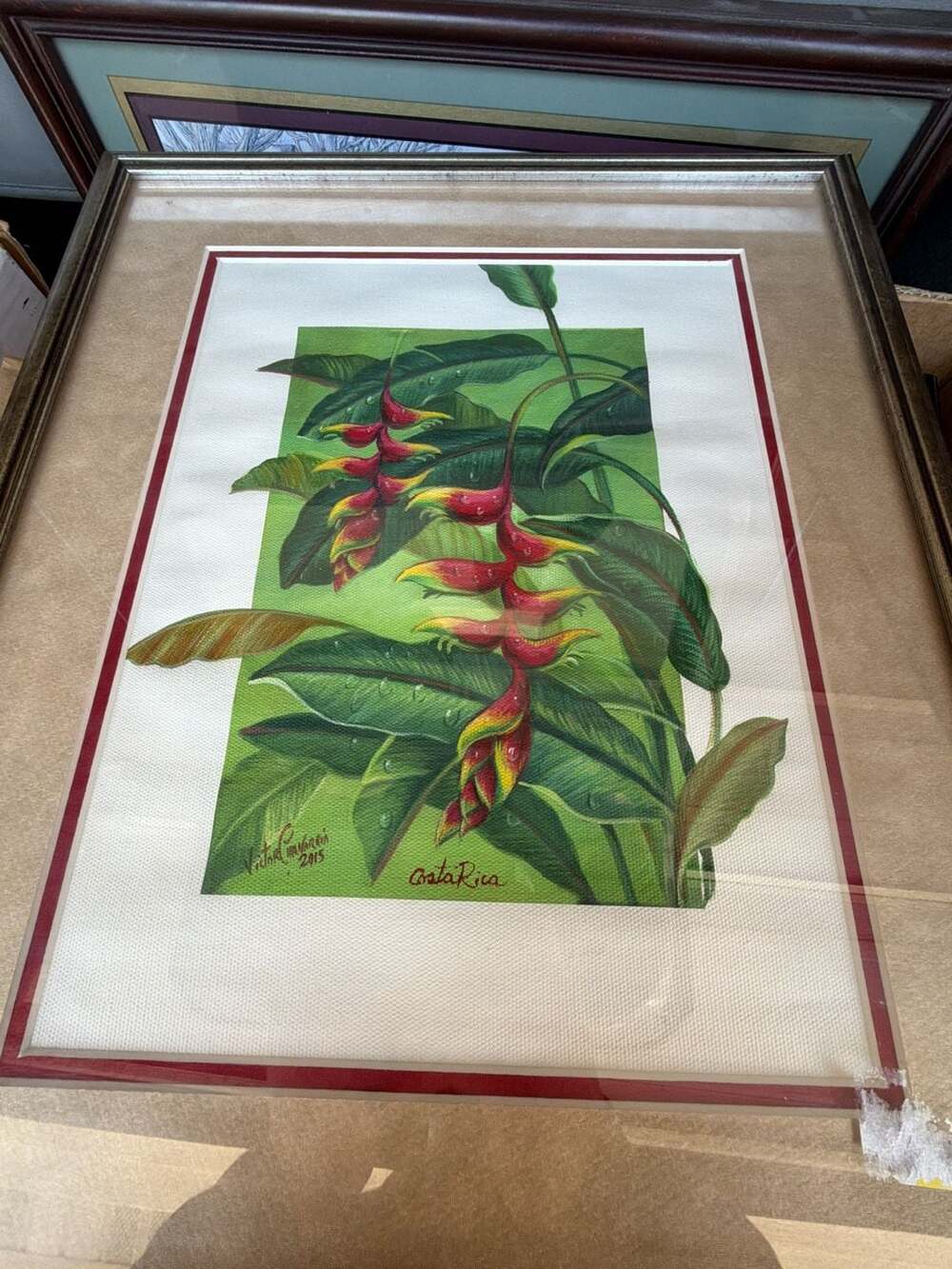 Original Heliconia Botanical Painting by Victor Chavarría 2015